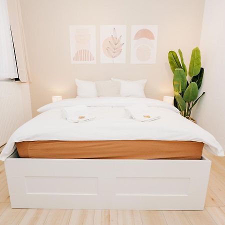 City-Apartment Kreuzviertel-Laedchen-60 Qm 蒙斯特 外观 照片