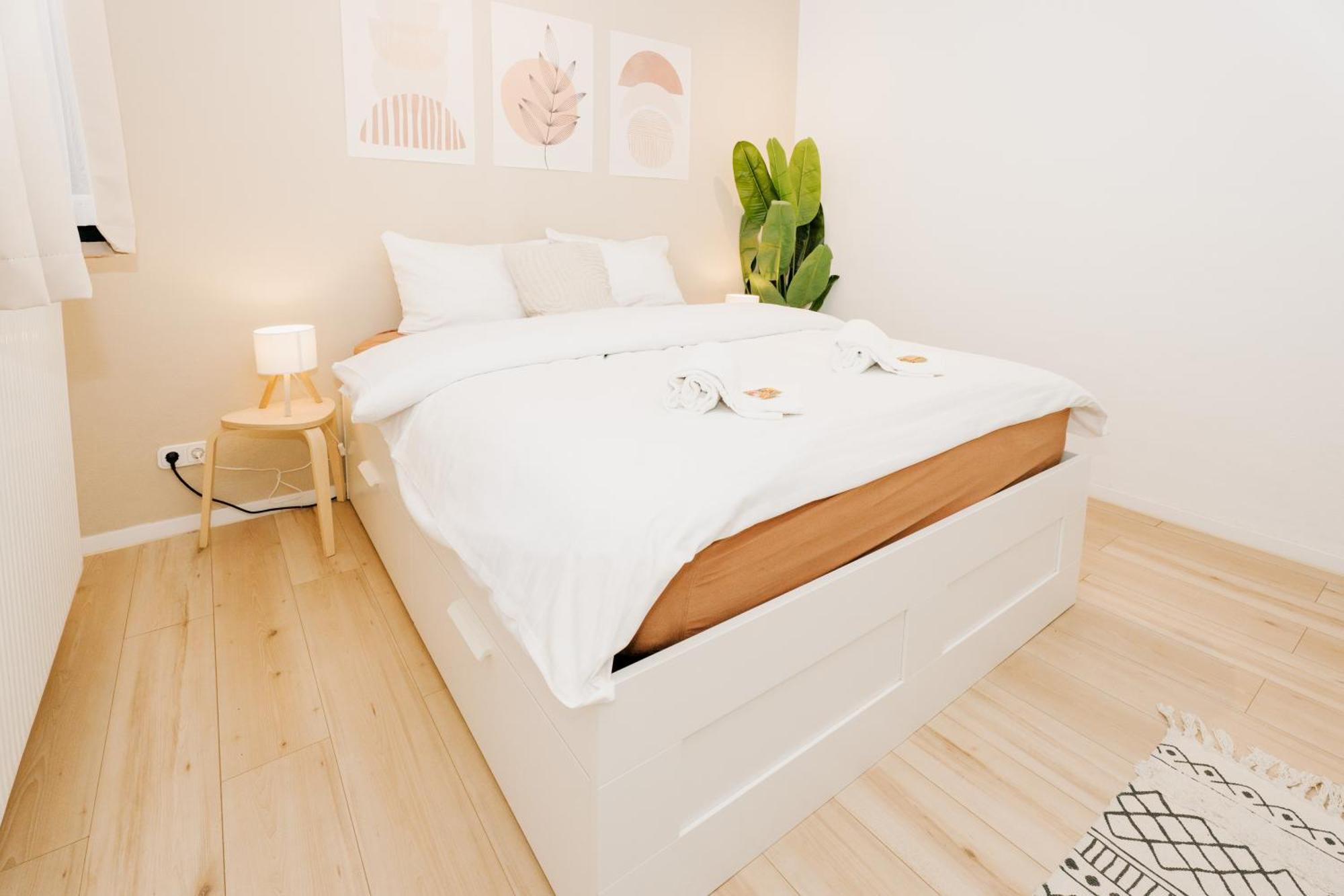City-Apartment Kreuzviertel-Laedchen-60 Qm 蒙斯特 外观 照片