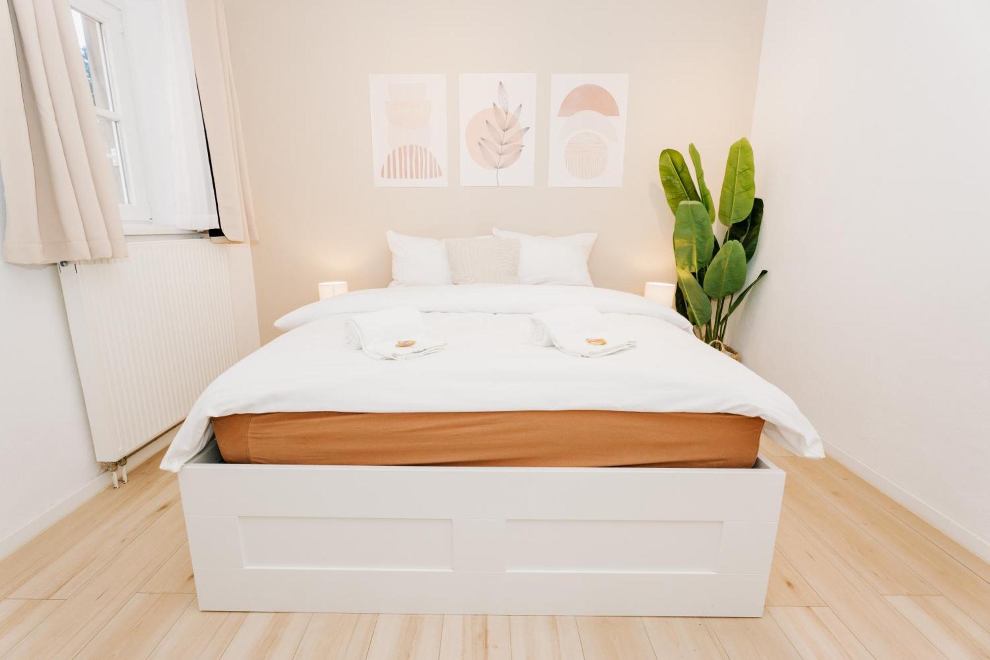 City-Apartment Kreuzviertel-Laedchen-60 Qm 蒙斯特 外观 照片