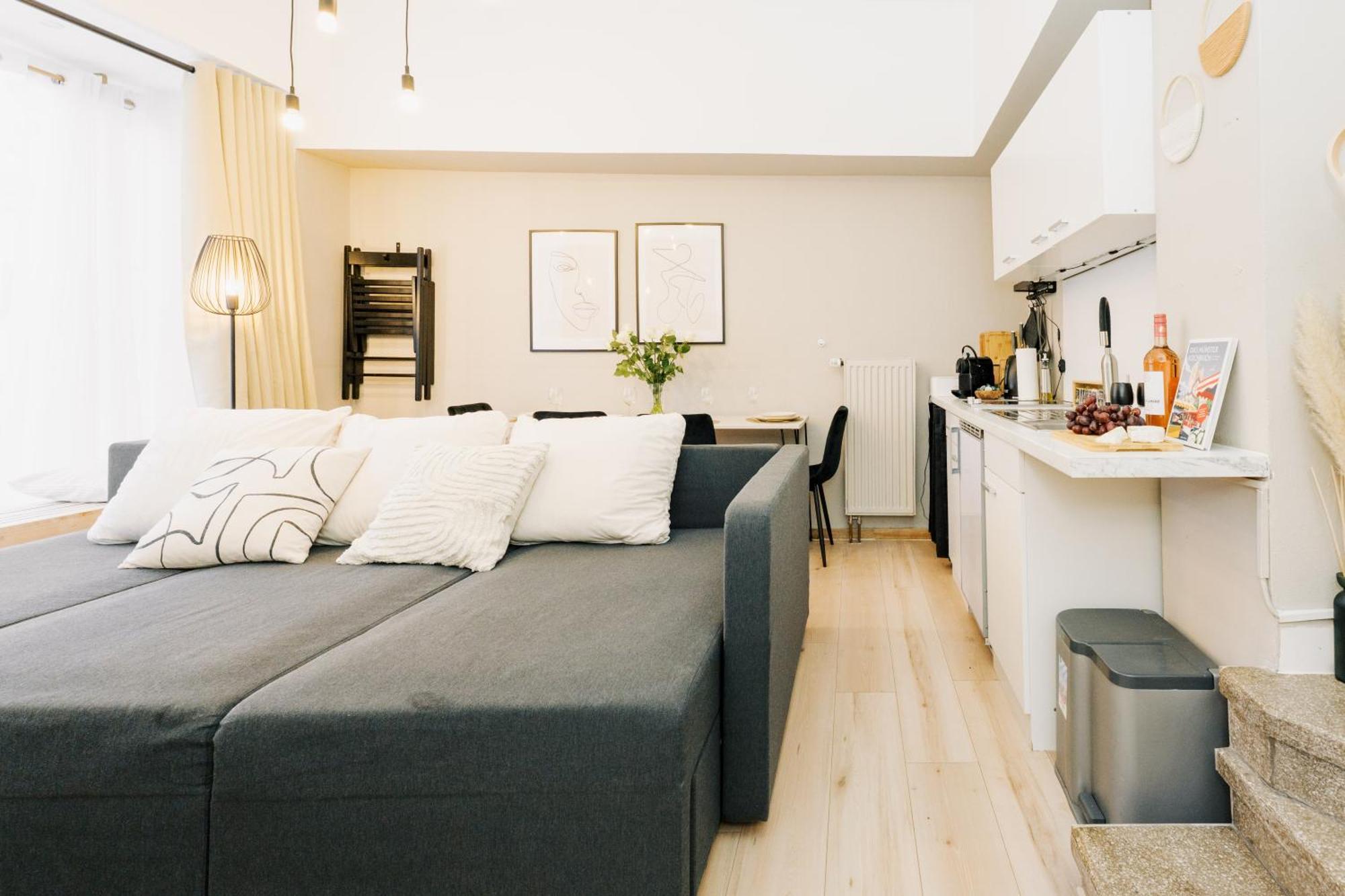 City-Apartment Kreuzviertel-Laedchen-60 Qm 蒙斯特 外观 照片